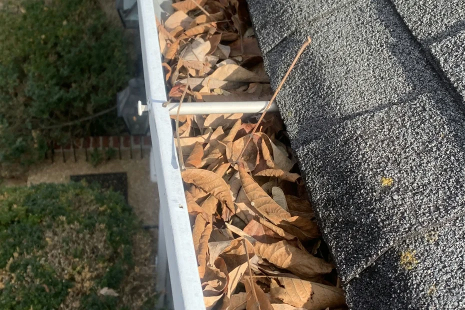 Gutter Cleaning Boca Raton FL