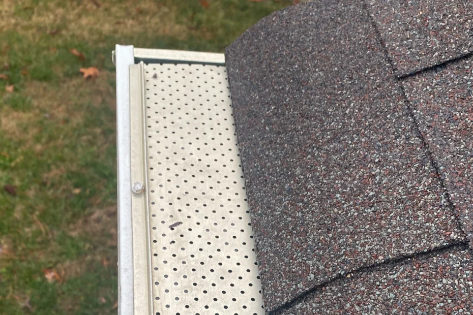 Gutter Cleaning Boca Raton FL