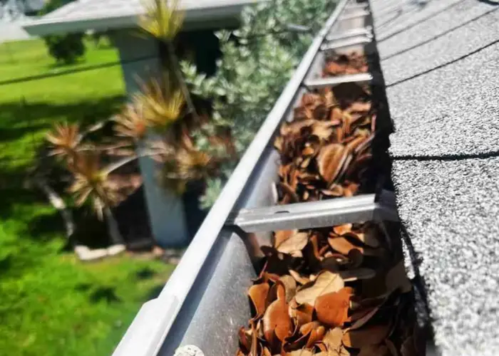 Gutter Cleaning Boca Raton FL home page